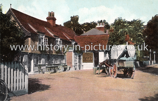 Bulls Cross, Enfield, Middlesex. c.1907